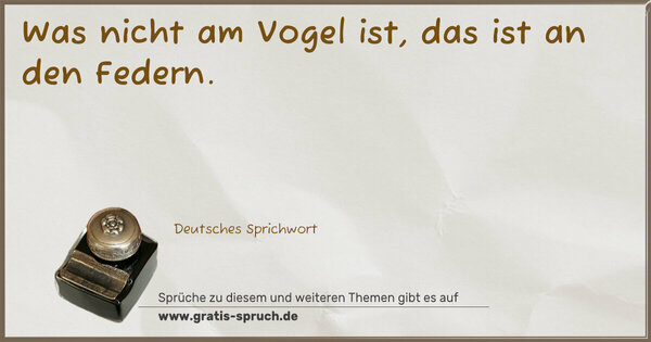 Spruch Visualisierung: Was nicht am Vogel ist, das ist an den Federn.