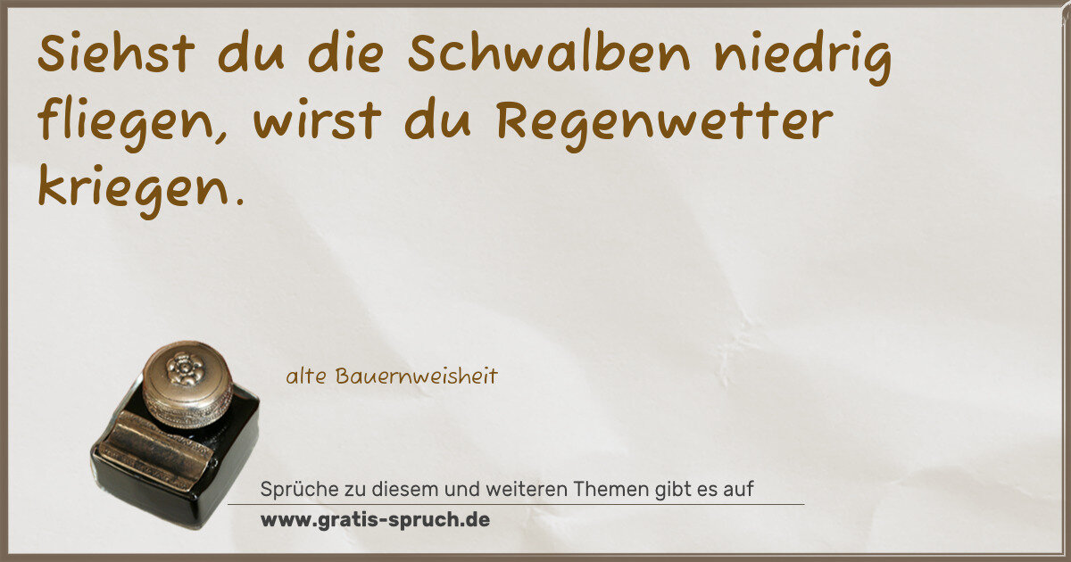 Spruchbild: Siehst du die Schwalben niedrig fliegen, wirst du Regenwetter kriegen.