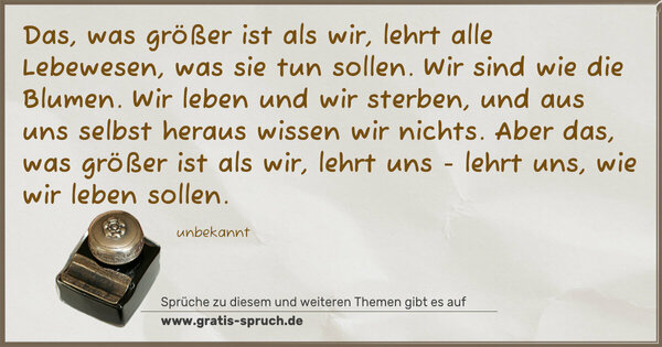 Spruch Visualisierung: Das, was größer ist als wir,
lehrt alle Lebewesen, was sie tun sollen.
Wir sind wie die Blumen. Wir leben und wir sterben,
und aus uns selbst heraus wissen wir nichts.
Aber das, was größer ist als wir, lehrt uns -
lehrt uns, wie wir leben sollen.
