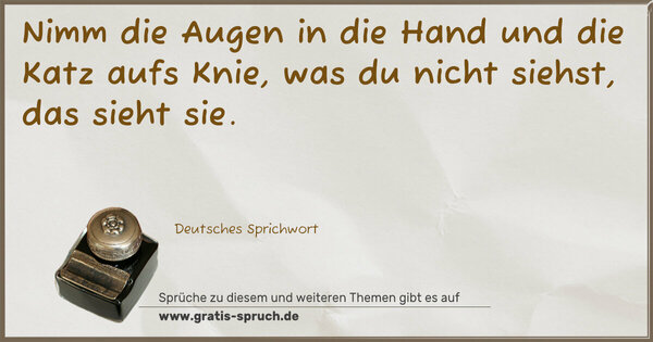 Spruch Visualisierung: Nimm die Augen in die Hand und die Katz aufs Knie, was du nicht siehst, das sieht sie.