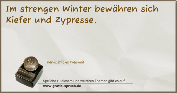 Spruch Visualisierung: Im strengen Winter bewähren sich Kiefer und Zypresse.