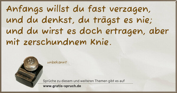 Spruch Visualisierung: Anfangs willst du fast verzagen,
und du denkst, du trägst es nie;
und du wirst es doch ertragen,
aber mit zerschundnem Knie.