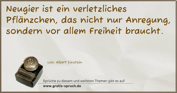 Spruch Visualisierung: Neugier ist ein verletzliches Pflänzchen,
das nicht nur Anregung,
sondern vor allem Freiheit braucht.