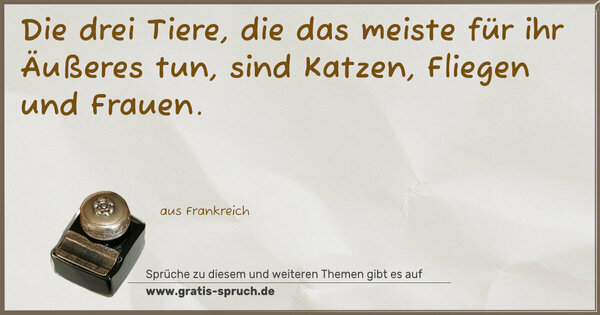 Spruch Visualisierung: Die drei Tiere, die das meiste für ihr Äußeres tun,
sind Katzen, Fliegen und Frauen.