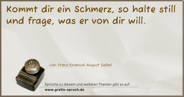 Spruch Visualisierung: Kommt dir ein Schmerz, so halte still und frage,
was er von dir will.