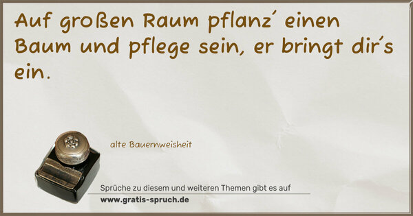 Spruch Visualisierung: Auf großen Raum pflanz' einen Baum
und pflege sein, er bringt dir's ein.