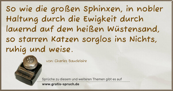 Spruch Visualisierung: So wie die großen Sphinxen, in nobler Haltung durch die Ewigkeit durch lauernd auf dem heißen Wüstensand,
so starren Katzen sorglos ins Nichts, ruhig und weise.