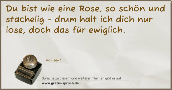 Spruch Visualisierung: Du bist wie eine Rose,
so schön und stachelig -
drum halt ich dich nur lose,
doch das für ewiglich.