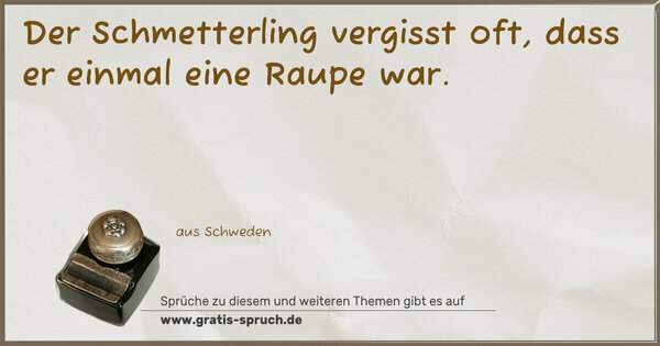 Spruch Visualisierung: Der Schmetterling vergisst oft,
dass er einmal eine Raupe war.