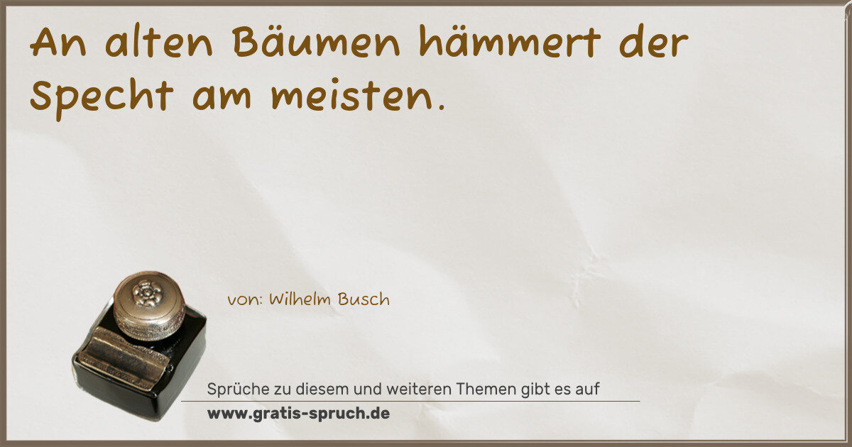 Spruchbild: An alten Bäumen hämmert der Specht am meisten.