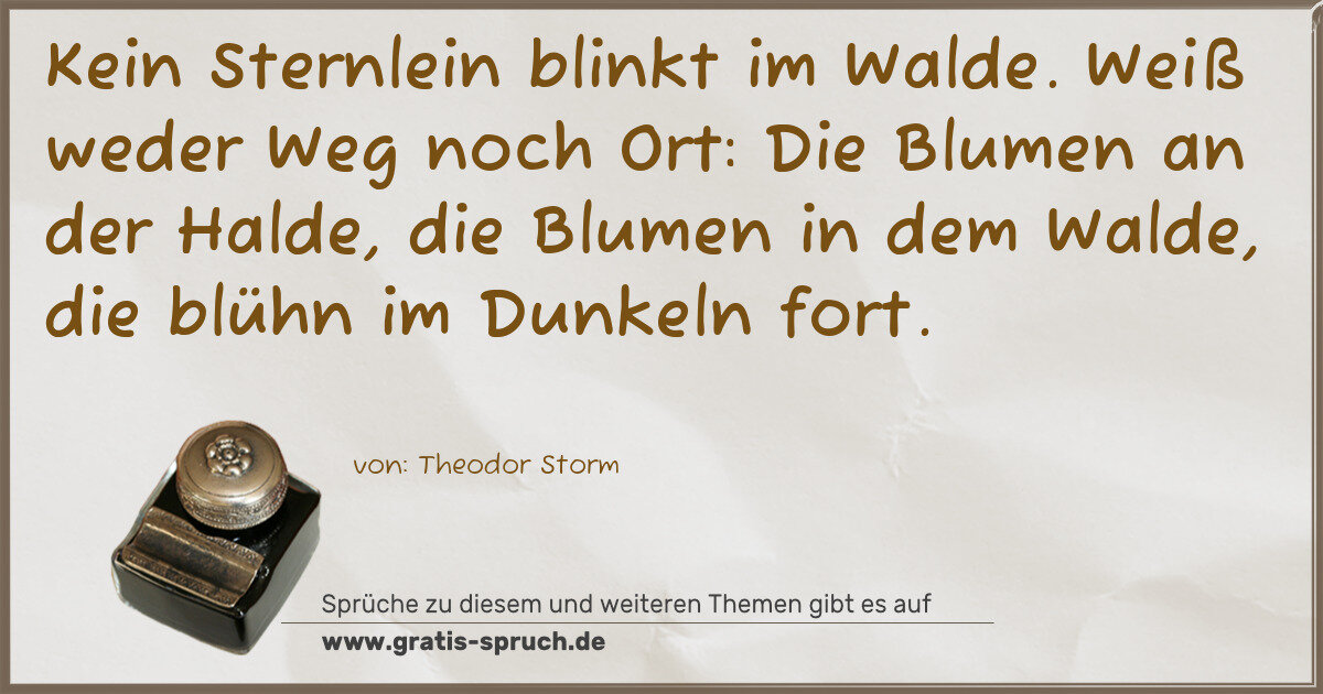 Spruchbild: Kein Sternlein blinkt im Walde. Weiß weder Weg noch Ort: Die Blumen an der Halde, die Blum …