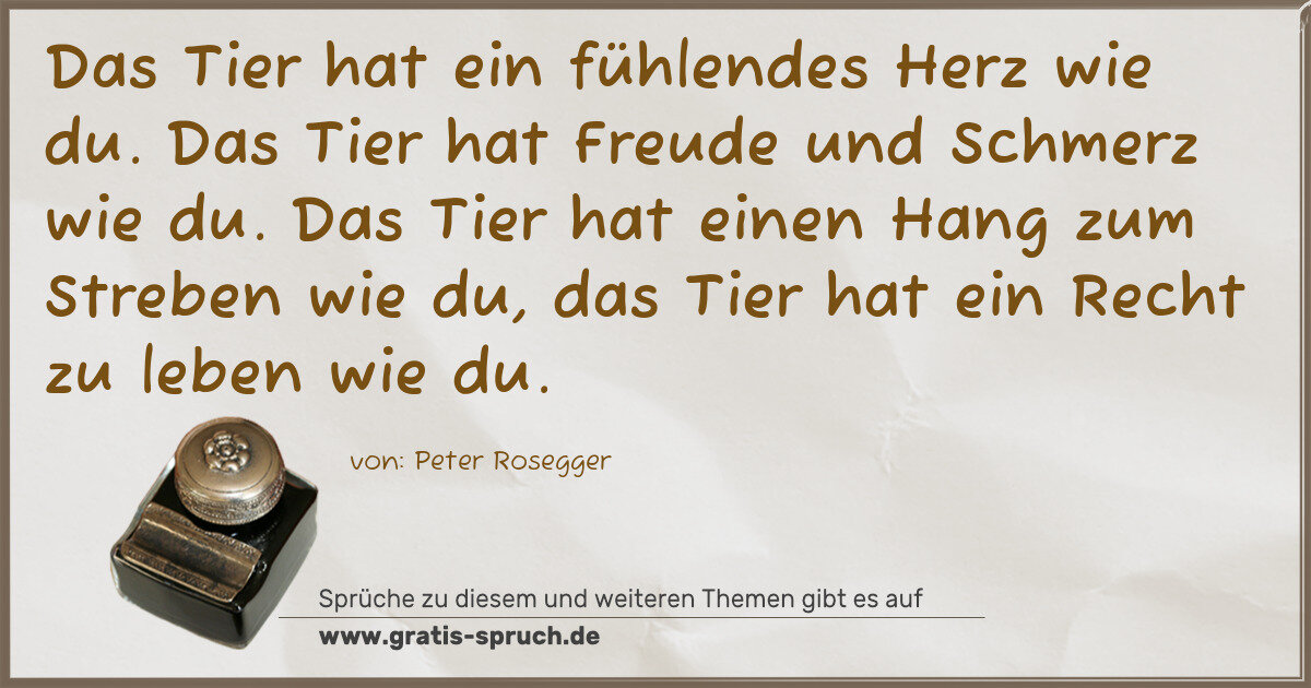 Spruchbild: Das Tier hat ein fühlendes Herz wie du. Das Tier hat Freude und Schmerz wie du. Das Tier h …