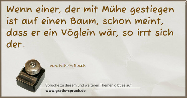 Spruch Visualisierung: Wenn einer, der mit Mühe
gestiegen ist auf einen Baum,
schon meint, dass er ein Vöglein wär,
so irrt sich der.