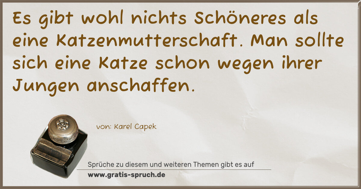 Spruchbild: Es gibt wohl nichts Schöneres als eine Katzenmutterschaft. Man sollte sich eine Katze scho …