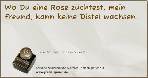 Spruch Visualisierung: Wo Du eine Rose züchtest, mein Freund,
kann keine Distel wachsen.