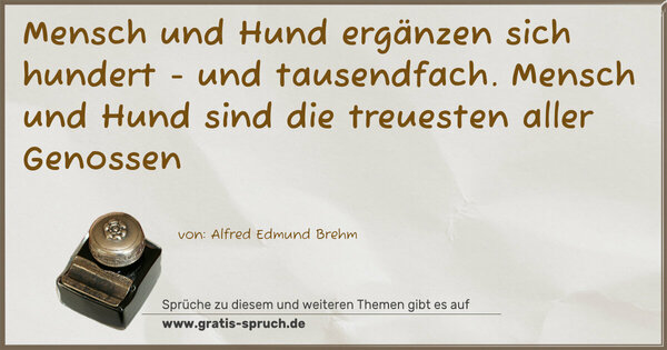 Spruch Visualisierung: Mensch und Hund ergänzen sich hundert - und tausendfach. Mensch und Hund sind die treuesten aller Genossen