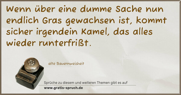 Spruch Visualisierung: Wenn über eine dumme Sache
nun endlich Gras gewachsen ist,
kommt sicher irgendein Kamel,
das alles wieder runterfrißt.