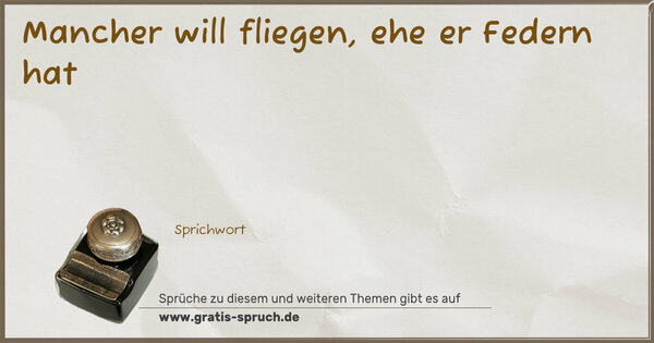 Spruch Visualisierung: Mancher will fliegen, ehe er Federn hat