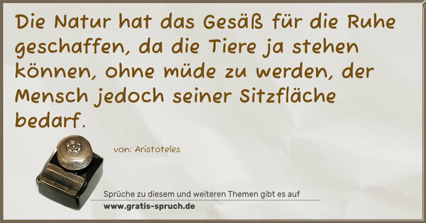 Spruch Visualisierung: Die Natur hat das Gesäß für die Ruhe geschaffen,
da die Tiere ja stehen können, ohne müde zu werden,
der Mensch jedoch seiner Sitzfläche bedarf.