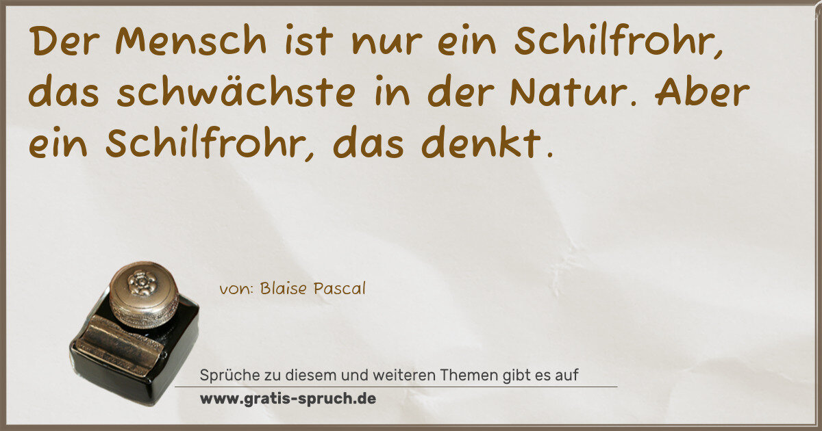 Spruchbild: Der Mensch ist nur ein Schilfrohr, das schwächste in der Natur. Aber ein Schilfrohr, das …
