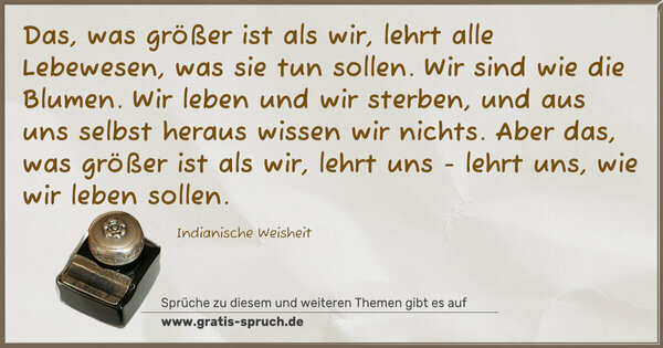 Spruch Visualisierung: Das, was größer ist als wir, lehrt alle Lebewesen, was sie tun sollen. Wir sind wie die Blumen. Wir leben und wir sterben,
und aus uns selbst heraus wissen wir nichts.
Aber das, was größer ist als wir, lehrt uns - lehrt uns, wie wir leben sollen.