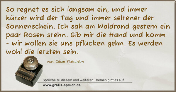 Spruch Visualisierung: So regnet es sich langsam ein,
und immer kürzer wird der Tag und immer
seltener der Sonnenschein.
Ich sah am Waldrand gestern ein paar Rosen stehn.
Gib mir die Hand und komm - wir wollen sie uns pflücken gehn.
Es werden wohl die letzten sein.