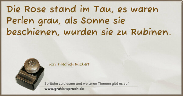 Spruch Visualisierung: Die Rose stand im Tau,
es waren Perlen grau,
als Sonne sie beschienen,
wurden sie zu Rubinen.
