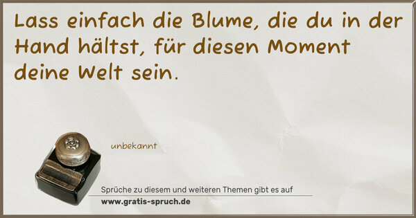 Spruch Visualisierung: Lass einfach die Blume,
die du in der Hand hältst,
für diesen Moment deine Welt sein.