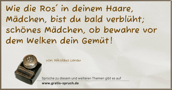 Spruch Visualisierung: Wie die Ros' in deinem Haare,
Mädchen, bist du bald verblüht;
schönes Mädchen, ob bewahre
vor dem Welken dein Gemüt!