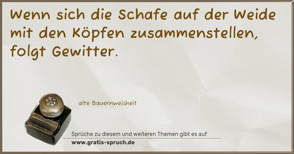 Spruch Visualisierung: Wenn sich die Schafe auf der Weide
mit den Köpfen zusammenstellen,
folgt Gewitter.