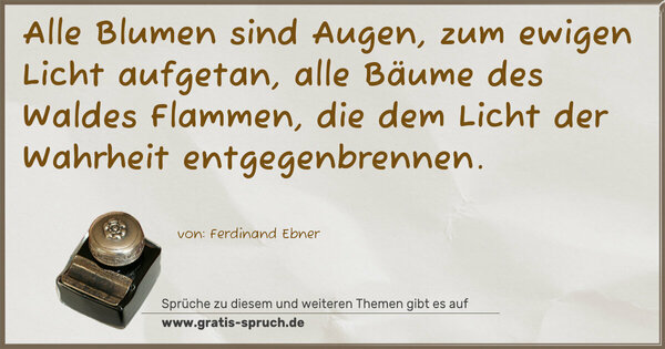 Spruch Visualisierung: Alle Blumen sind Augen, zum ewigen Licht aufgetan,
alle Bäume des Waldes Flammen,
die dem Licht der Wahrheit entgegenbrennen.