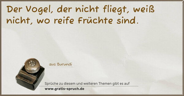 Spruch Visualisierung: Der Vogel, der nicht fliegt, weiß nicht,
wo reife Früchte sind.
