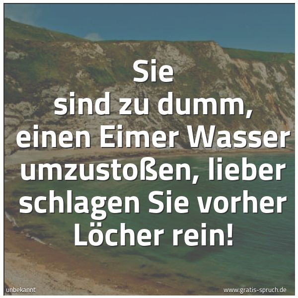 Quadratisches Spruchbild: Sie sind zu dumm, einen Eimer Wasser umzustoßen, lieber schlagen Sie vorher Löcher rein!