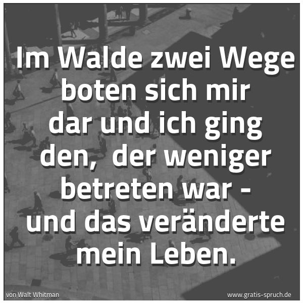 Quadratisches Spruchbild: Im Walde zwei Wege boten sich mir dar und ich ging den, der weniger betreten war - und da …