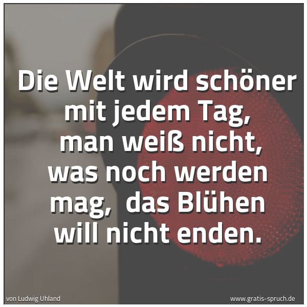 Quadratisches Spruchbild: Die Welt wird schöner mit jedem Tag, man weiß nicht, was noch werden mag, das Blühen wil …