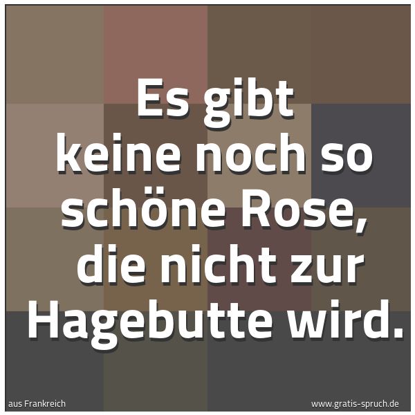 Quadratisches Spruchbild: Es gibt keine noch so schöne Rose, die nicht zur Hagebutte wird.