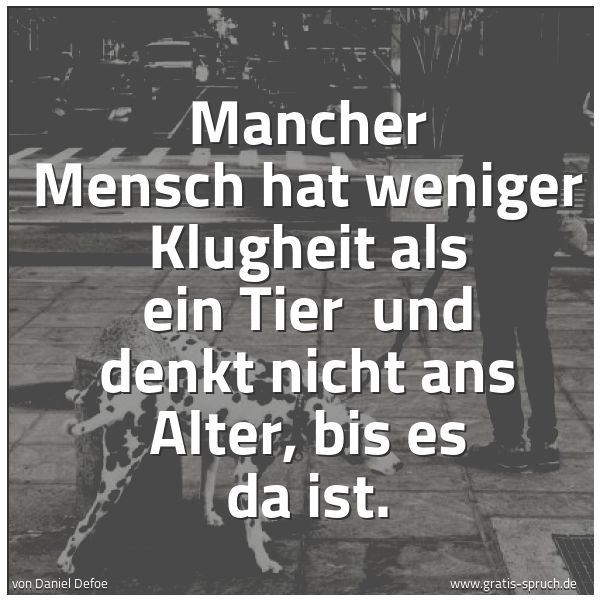 Quadratisches Spruchbild: Mancher Mensch hat weniger Klugheit als ein Tier  und denkt nicht ans Alter, bis es da ist …