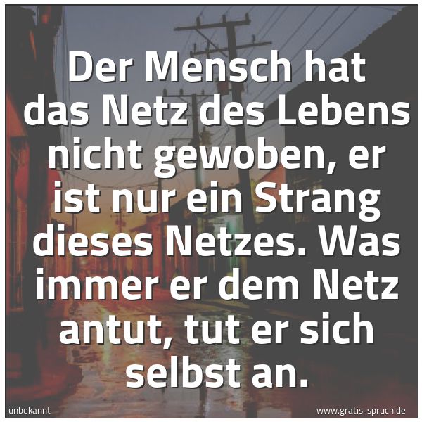 Quadratisches Spruchbild: Der Mensch hat das Netz des Lebens nicht gewoben, er ist nur ein Strang dieses Netzes. Was …