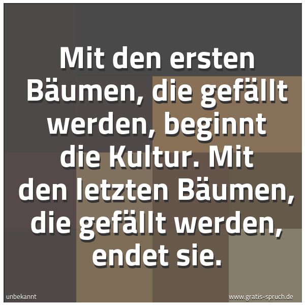 Quadratisches Spruchbild: Mit den ersten Bäumen, die gefällt werden, beginnt die Kultur. Mit den letzten Bäumen, die …
