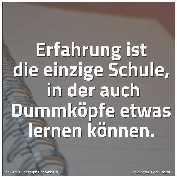 Quadratisches Spruchbild: Erfahrung ist die einzige Schule, in der auch Dummköpfe etwas lernen können.