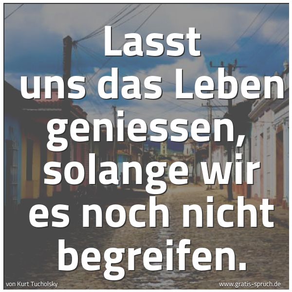 Quadratisches Spruchbild: Lasst uns das Leben geniessen, solange wir es noch nicht begreifen.