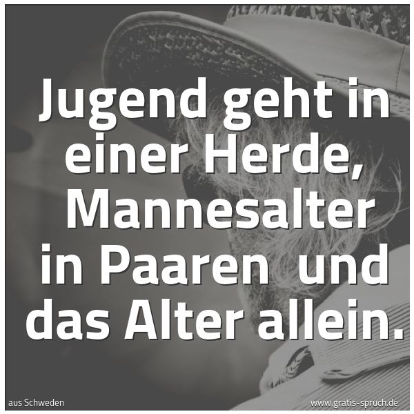 Quadratisches Spruchbild: Jugend geht in einer Herde, Mannesalter in Paaren und das Alter allein.