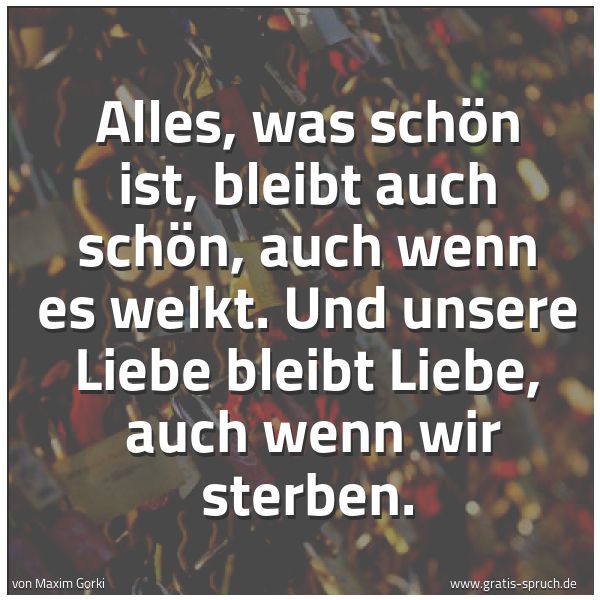 Quadratisches Spruchbild: Alles, was schön ist, bleibt auch schön, auch wenn es welkt. Und unsere Liebe bleibt Liebe …