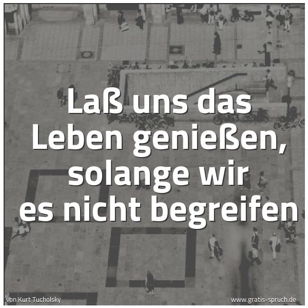 Quadratisches Spruchbild: Laß uns das Leben genießen, solange wir es nicht begreifen