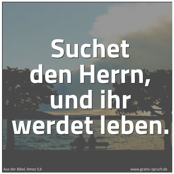 Quadratisches Spruchbild: Suchet den Herrn, und ihr werdet leben.