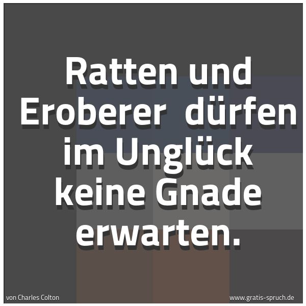 Quadratisches Spruchbild: Ratten und Eroberer dürfen im Unglück keine Gnade erwarten.