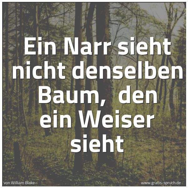 Quadratisches Spruchbild: Ein Narr sieht nicht denselben Baum, den ein Weiser sieht