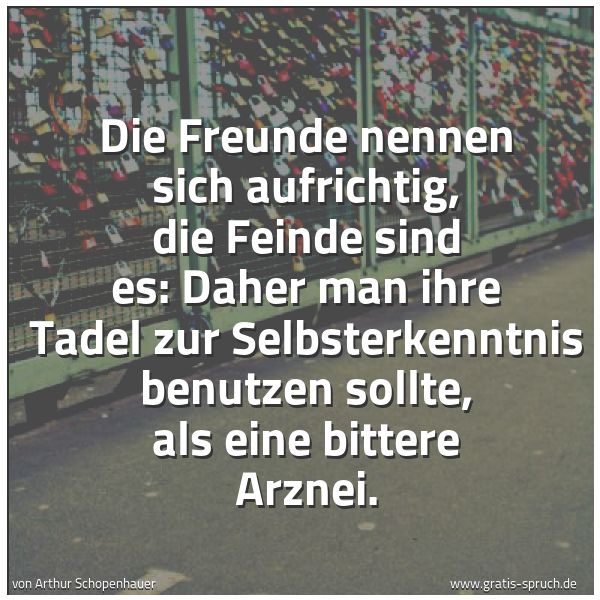 Quadratisches Spruchbild: Die Freunde nennen sich aufrichtig, die Feinde sind es: Daher man ihre Tadel zur Selbsterk …