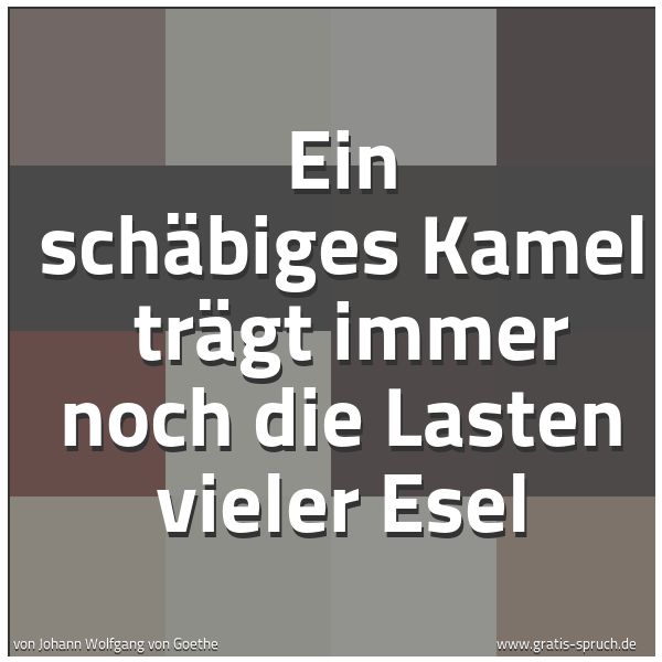 Quadratisches Spruchbild: Ein schäbiges Kamel trägt immer noch die Lasten vieler Esel