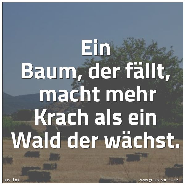 Quadratisches Spruchbild: Ein Baum, der fällt,  macht mehr Krach als ein Wald der wächst.